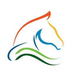 Faszinova Logo